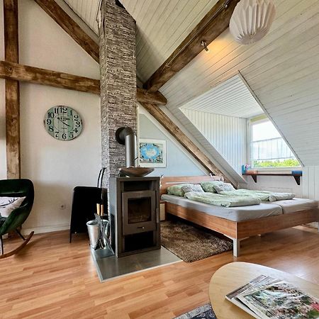Hof Vierzehnender Im Hohen Venn - 70Qm Fachwerk-Studio - Grosses Wohn-Schlafzimmer Mit Dachterrasse Und Kaminofen - Separate Kueche - Perfekt Fuer Paare - Monschau - Eifel - Hunde Willkommen - Islandpferde Dış mekan fotoğraf