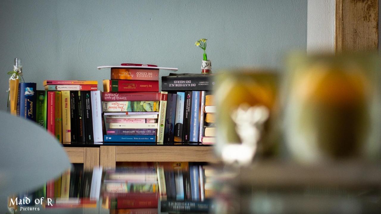 Hof Vierzehnender Im Hohen Venn - 70Qm Fachwerk-Studio - Grosses Wohn-Schlafzimmer Mit Dachterrasse Und Kaminofen - Separate Kueche - Perfekt Fuer Paare - Monschau - Eifel - Hunde Willkommen - Islandpferde Dış mekan fotoğraf