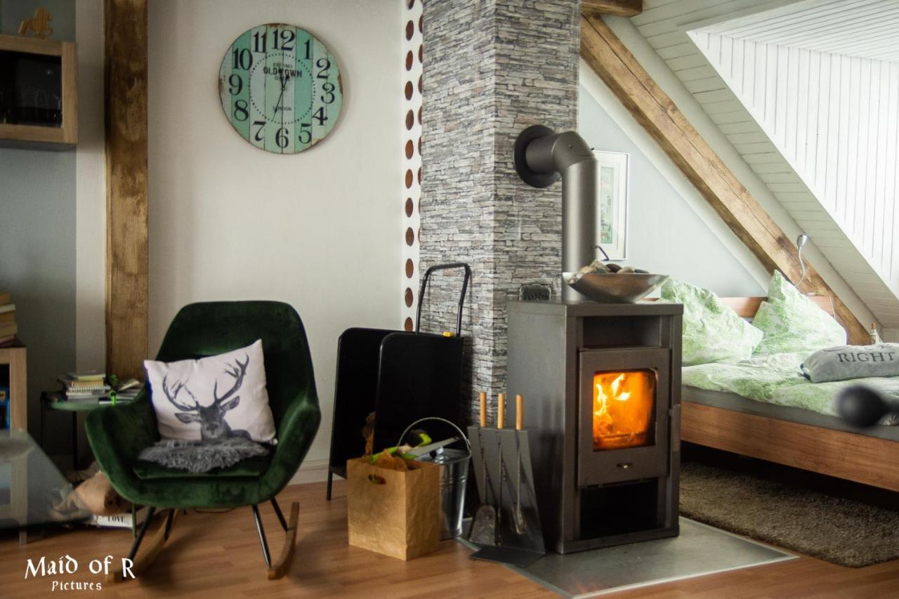 Hof Vierzehnender Im Hohen Venn - 70Qm Fachwerk-Studio - Grosses Wohn-Schlafzimmer Mit Dachterrasse Und Kaminofen - Separate Kueche - Perfekt Fuer Paare - Monschau - Eifel - Hunde Willkommen - Islandpferde Dış mekan fotoğraf