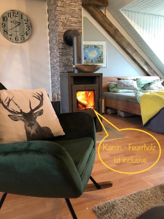 Hof Vierzehnender Im Hohen Venn - 70Qm Fachwerk-Studio - Grosses Wohn-Schlafzimmer Mit Dachterrasse Und Kaminofen - Separate Kueche - Perfekt Fuer Paare - Monschau - Eifel - Hunde Willkommen - Islandpferde Dış mekan fotoğraf
