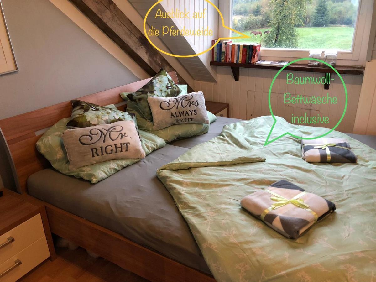 Hof Vierzehnender Im Hohen Venn - 70Qm Fachwerk-Studio - Grosses Wohn-Schlafzimmer Mit Dachterrasse Und Kaminofen - Separate Kueche - Perfekt Fuer Paare - Monschau - Eifel - Hunde Willkommen - Islandpferde Dış mekan fotoğraf