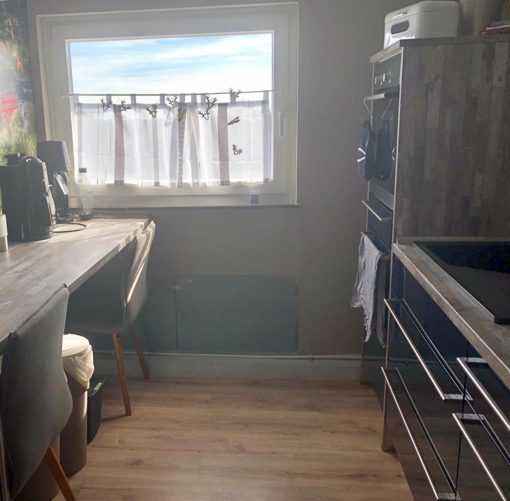 Hof Vierzehnender Im Hohen Venn - 70Qm Fachwerk-Studio - Grosses Wohn-Schlafzimmer Mit Dachterrasse Und Kaminofen - Separate Kueche - Perfekt Fuer Paare - Monschau - Eifel - Hunde Willkommen - Islandpferde Dış mekan fotoğraf