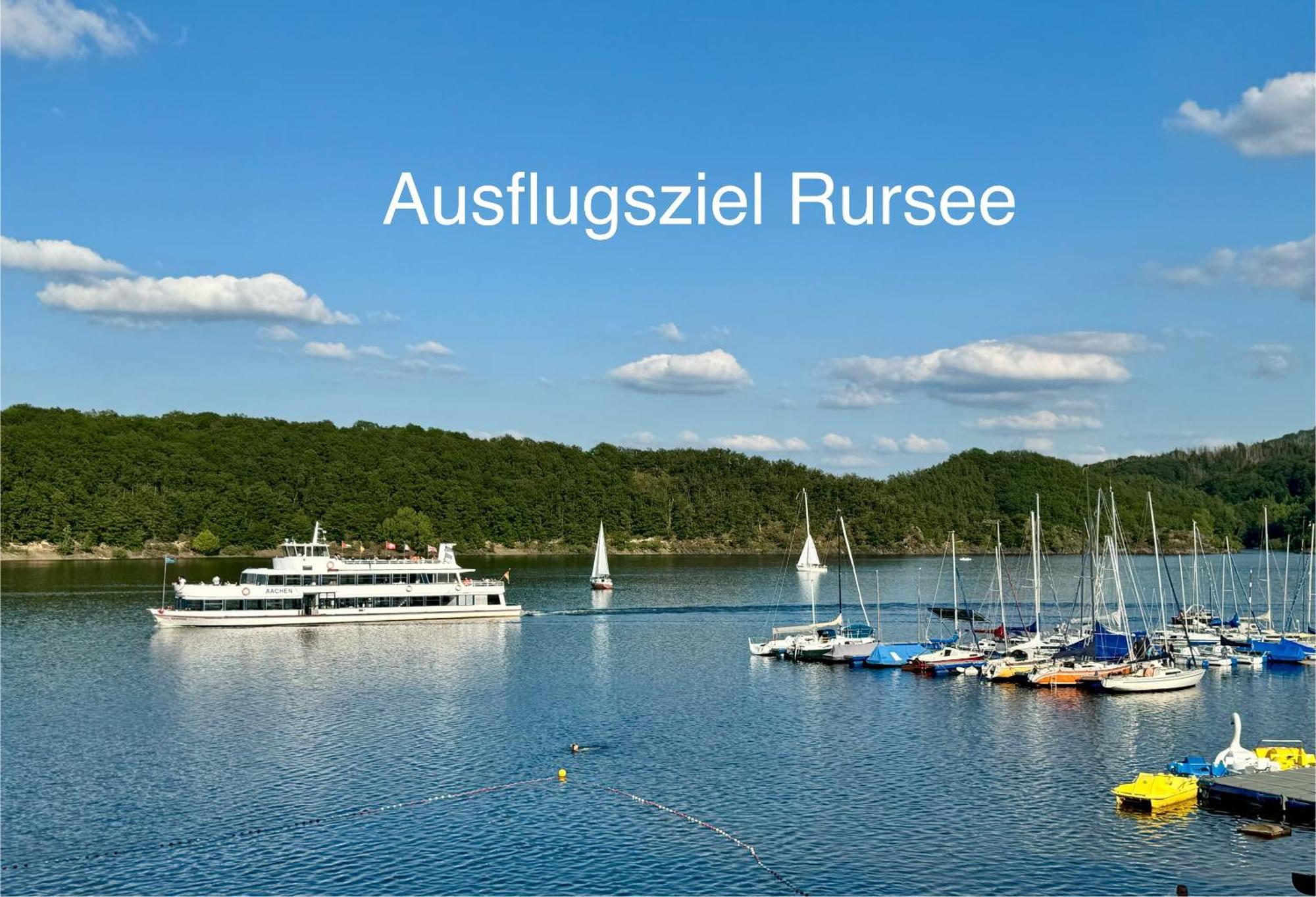 Hof Vierzehnender Im Hohen Venn - 70Qm Fachwerk-Studio - Grosses Wohn-Schlafzimmer Mit Dachterrasse Und Kaminofen - Separate Kueche - Perfekt Fuer Paare - Monschau - Eifel - Hunde Willkommen - Islandpferde Dış mekan fotoğraf
