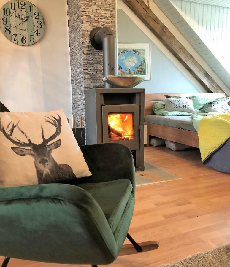 Hof Vierzehnender Im Hohen Venn - 70Qm Fachwerk-Studio - Grosses Wohn-Schlafzimmer Mit Dachterrasse Und Kaminofen - Separate Kueche - Perfekt Fuer Paare - Monschau - Eifel - Hunde Willkommen - Islandpferde Dış mekan fotoğraf