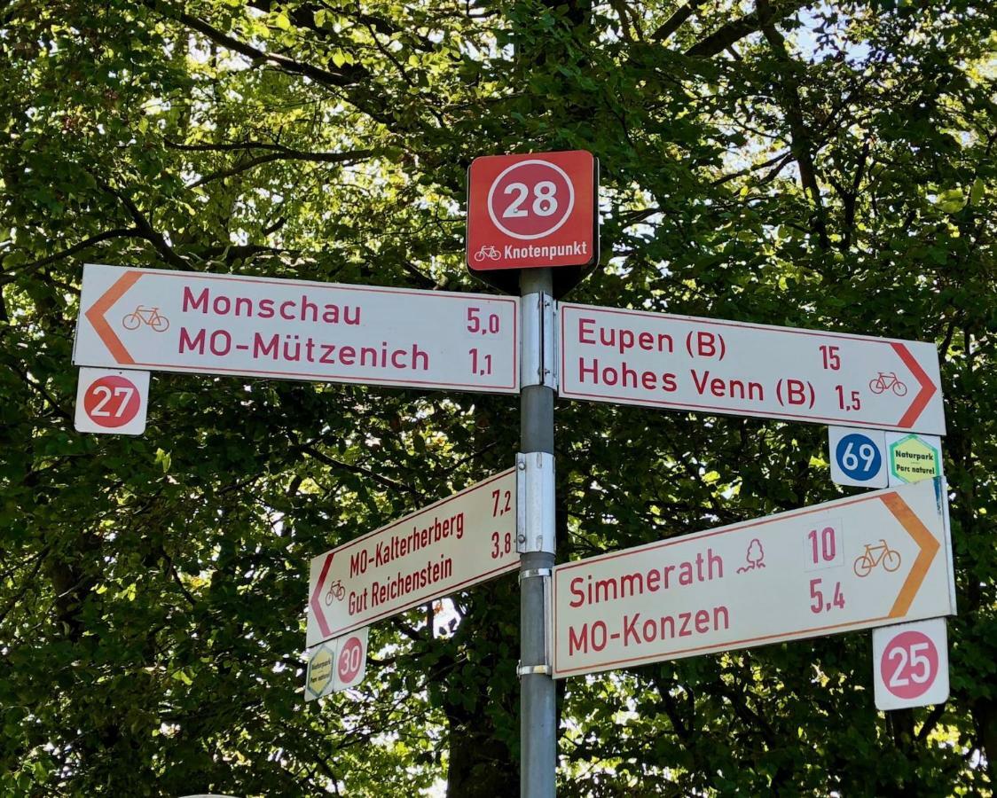 Hof Vierzehnender Im Hohen Venn - 70Qm Fachwerk-Studio - Grosses Wohn-Schlafzimmer Mit Dachterrasse Und Kaminofen - Separate Kueche - Perfekt Fuer Paare - Monschau - Eifel - Hunde Willkommen - Islandpferde Dış mekan fotoğraf