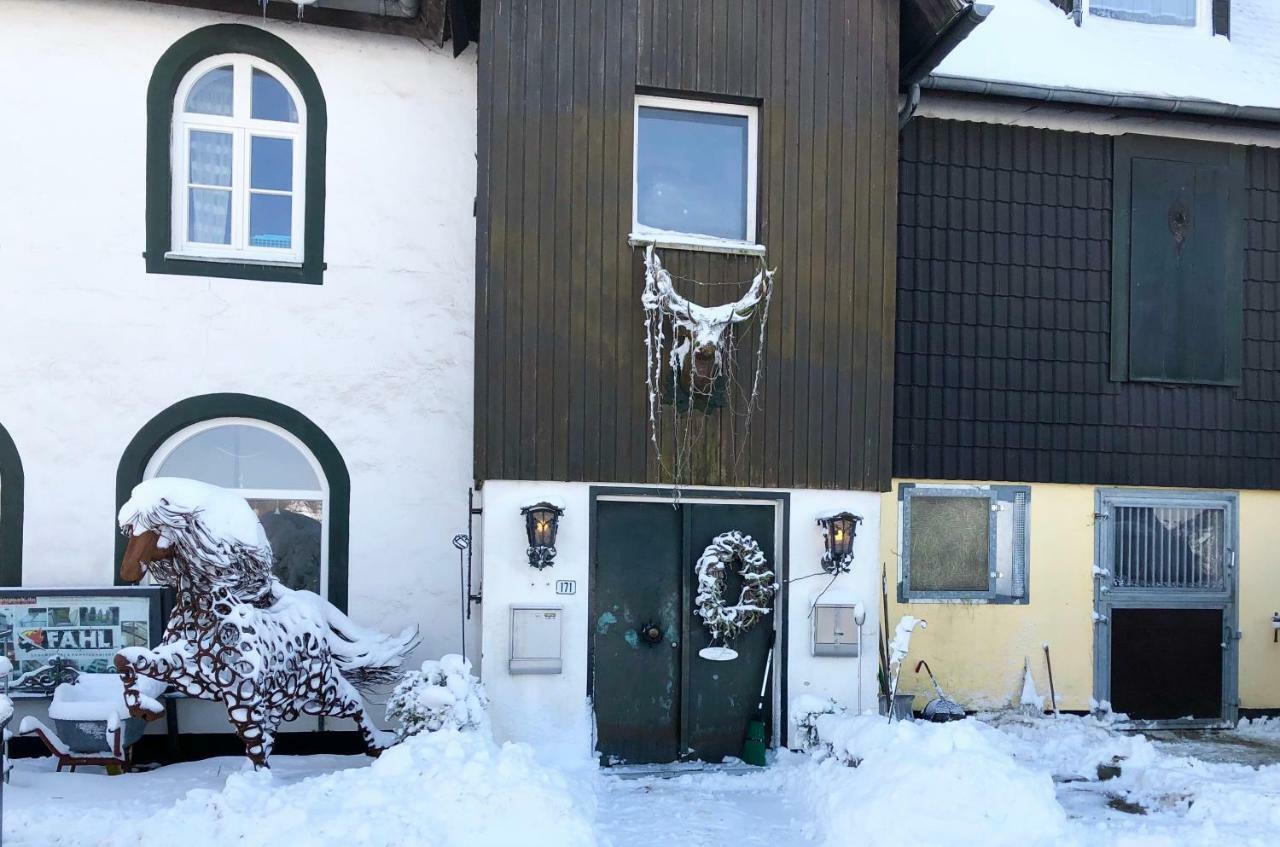 Hof Vierzehnender Im Hohen Venn - 70Qm Fachwerk-Studio - Grosses Wohn-Schlafzimmer Mit Dachterrasse Und Kaminofen - Separate Kueche - Perfekt Fuer Paare - Monschau - Eifel - Hunde Willkommen - Islandpferde Dış mekan fotoğraf